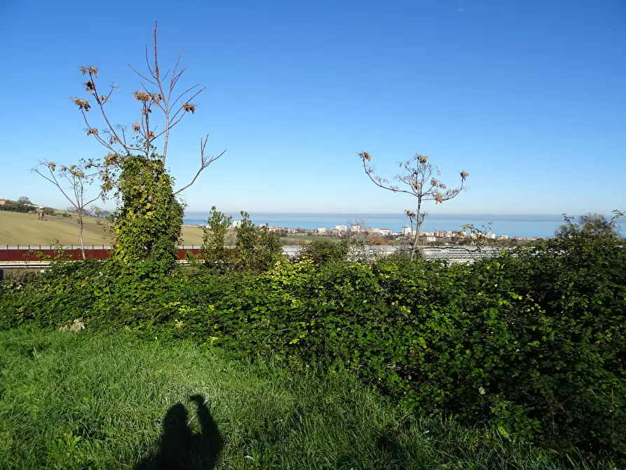 Immagine 12 di Rustico / casale in vendita  a Senigallia