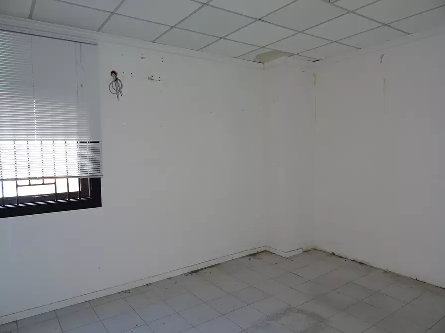 Immagine 16 di Attività artigianale in vendita  a Monte Porzio