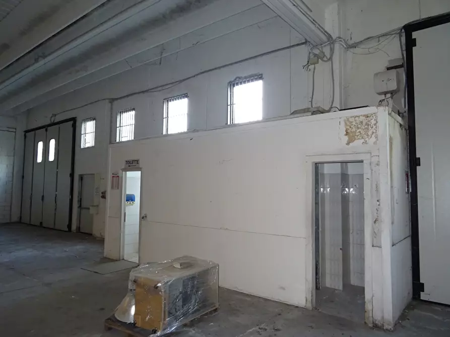 Immagine 12 di Attività artigianale in vendita  a Monte Porzio