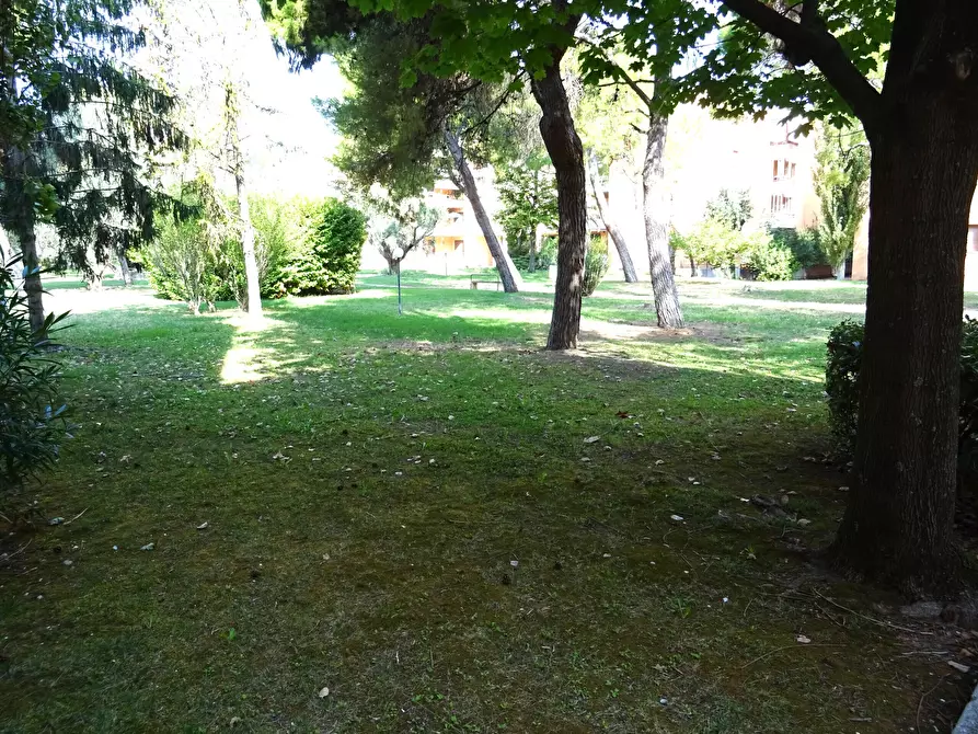 Immagine 19 di Monolocale in vendita  a Senigallia