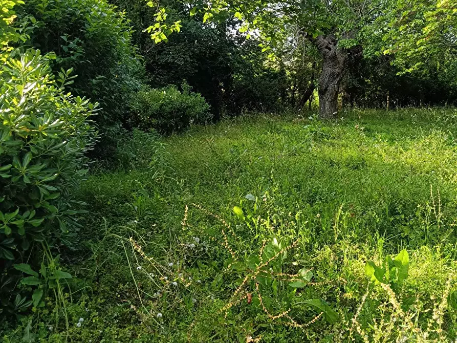 Immagine 17 di Rustico / casale in vendita  a Corinaldo