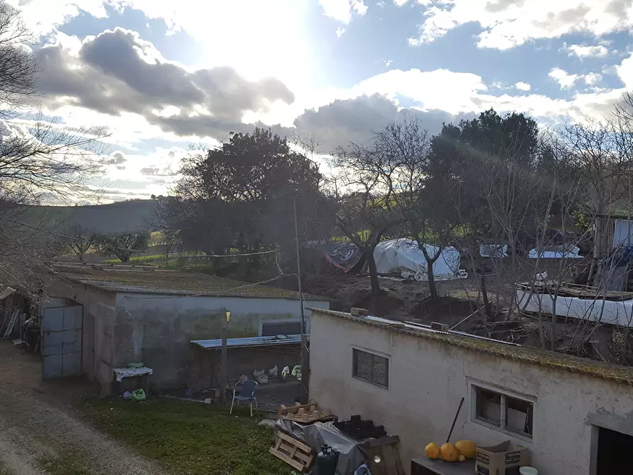 Immagine 13 di Rustico / casale in vendita  a Senigallia