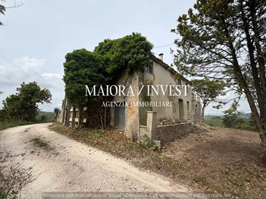 Immagine 4 di Rustico / casale in vendita  a Acquaviva Picena