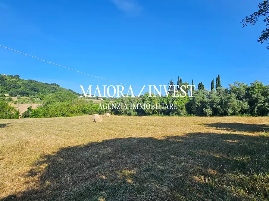 Immagine 14 di Rustico / casale in vendita  in Contrada Pianelle a Monsampolo Del Tronto