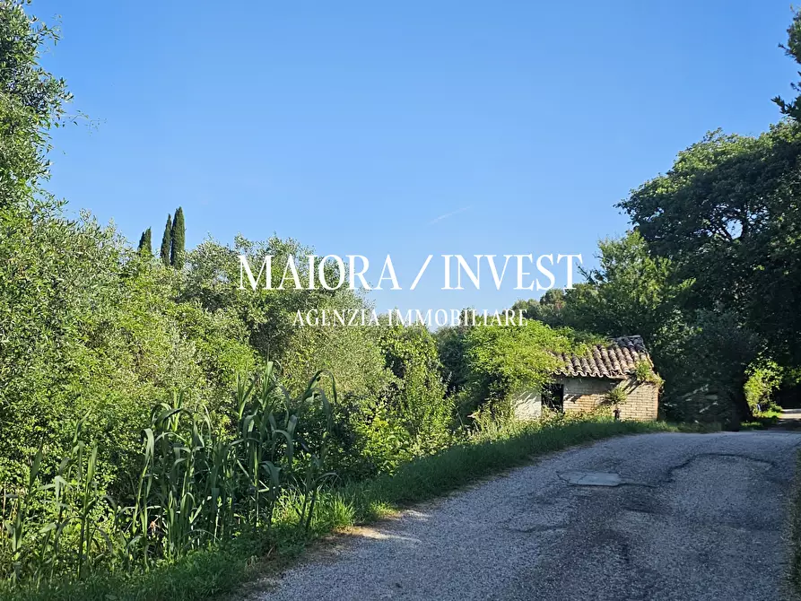 Immagine 3 di Rustico / casale in vendita  in Contrada Pianelle a Monsampolo Del Tronto