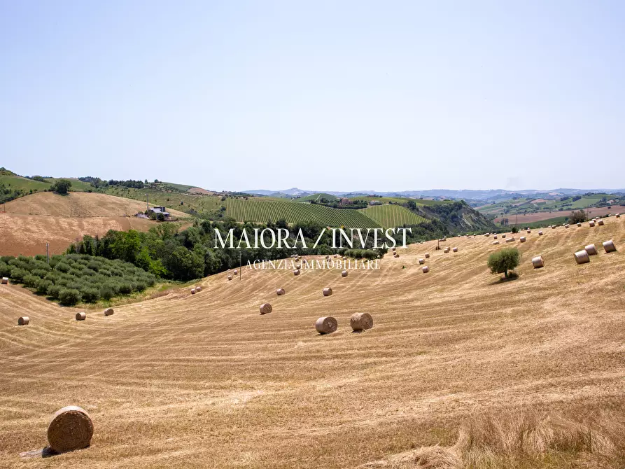 Immagine 42 di Rustico / casale in vendita  in Contrada Ciafone a Offida