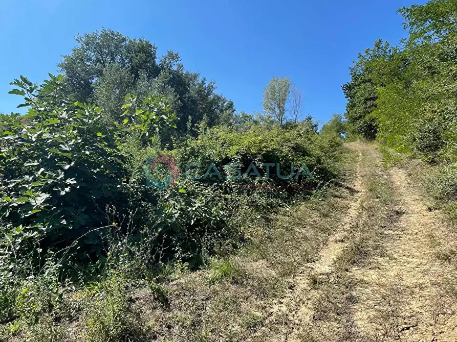Immagine 30 di Casa indipendente in vendita  a Civitella Casanova