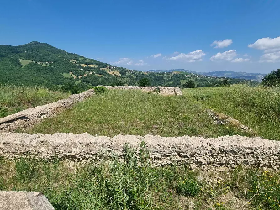 Immagine 33 di Terreno agricolo in vendita  a Farindola