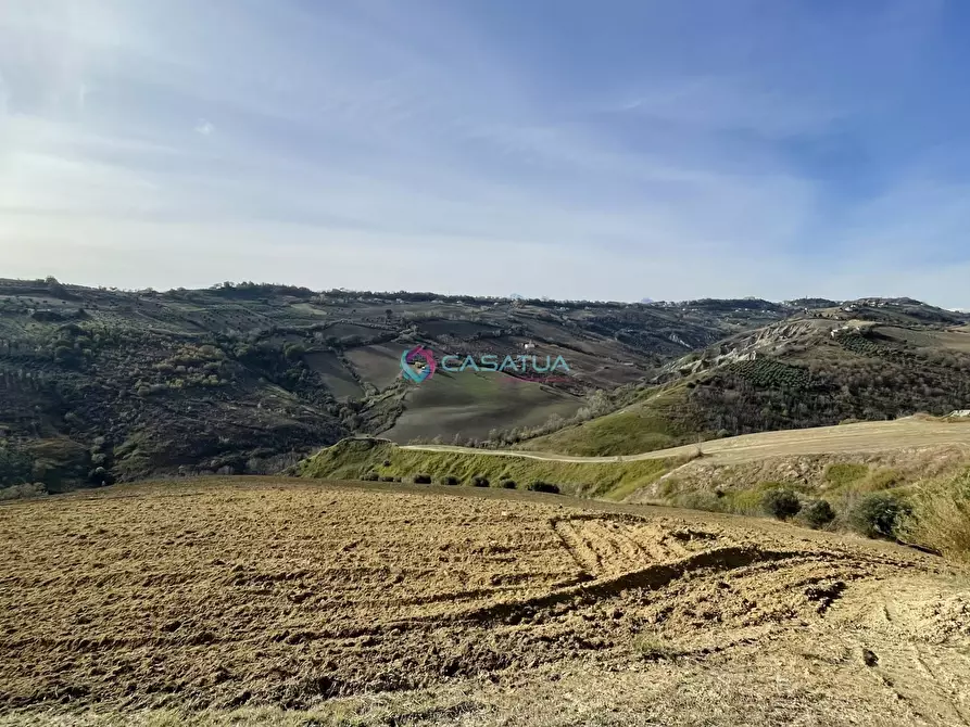 Immagine 43 di Trilocale in vendita  a Pineto