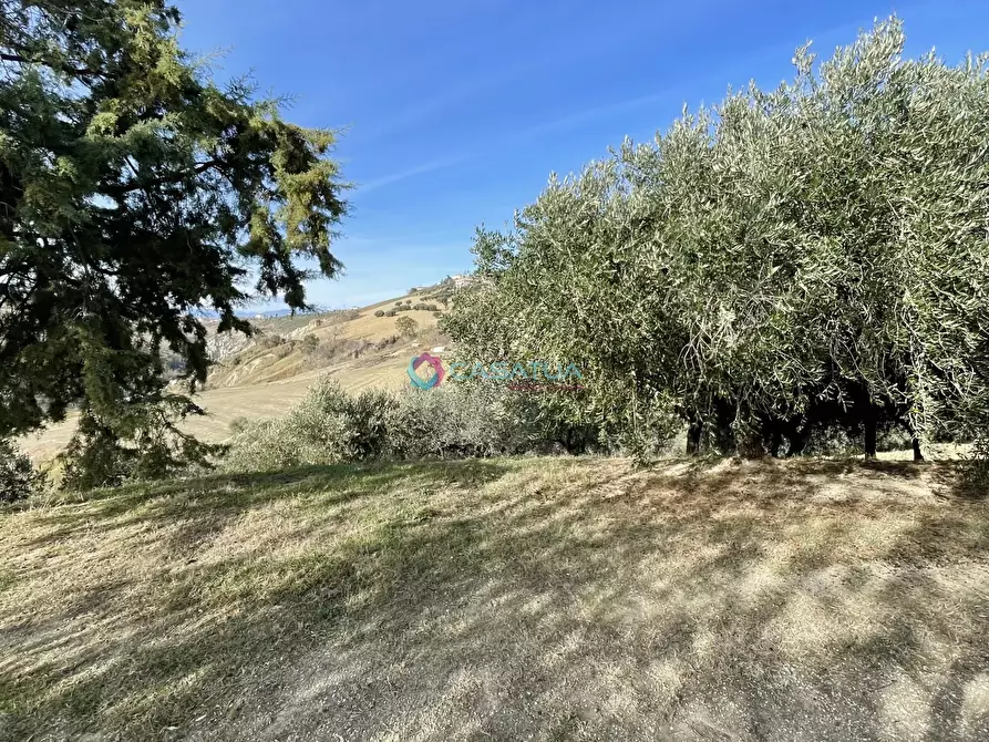 Immagine 35 di Trilocale in vendita  a Pineto