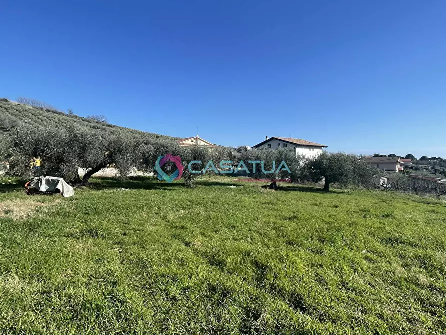 Immagine 3 di Terreno agricolo in vendita  a Silvi