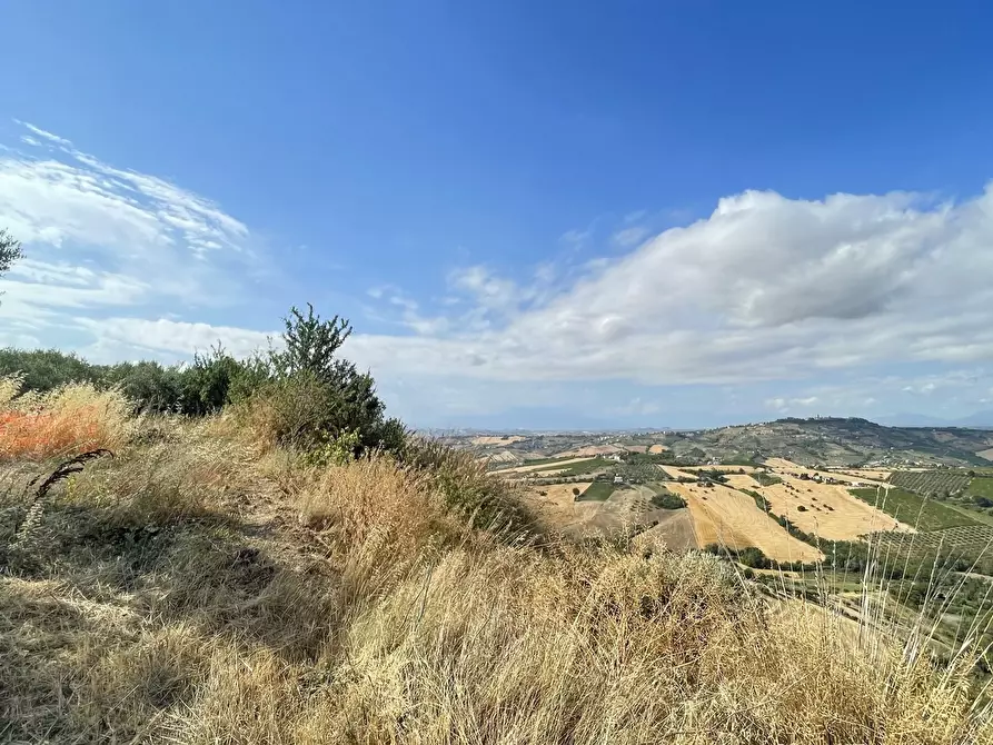 Immagine 9 di Terreno agricolo in vendita  a Silvi