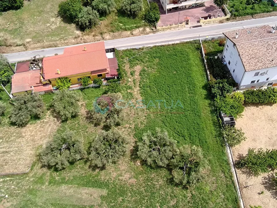 Immagine 42 di Terreno agricolo in vendita  a Silvi