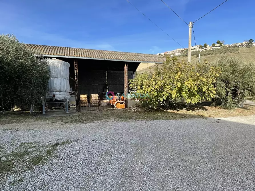 Immagine 44 di Terratetto in vendita  a Pineto