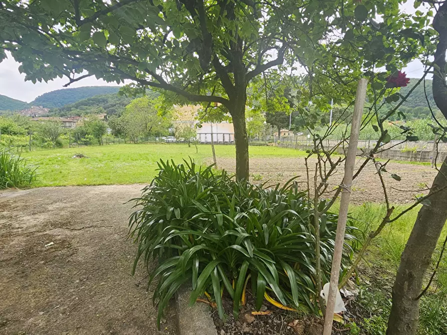 Immagine 4 di Rustico / casale in vendita  in Via Arena 12 a Ameglia