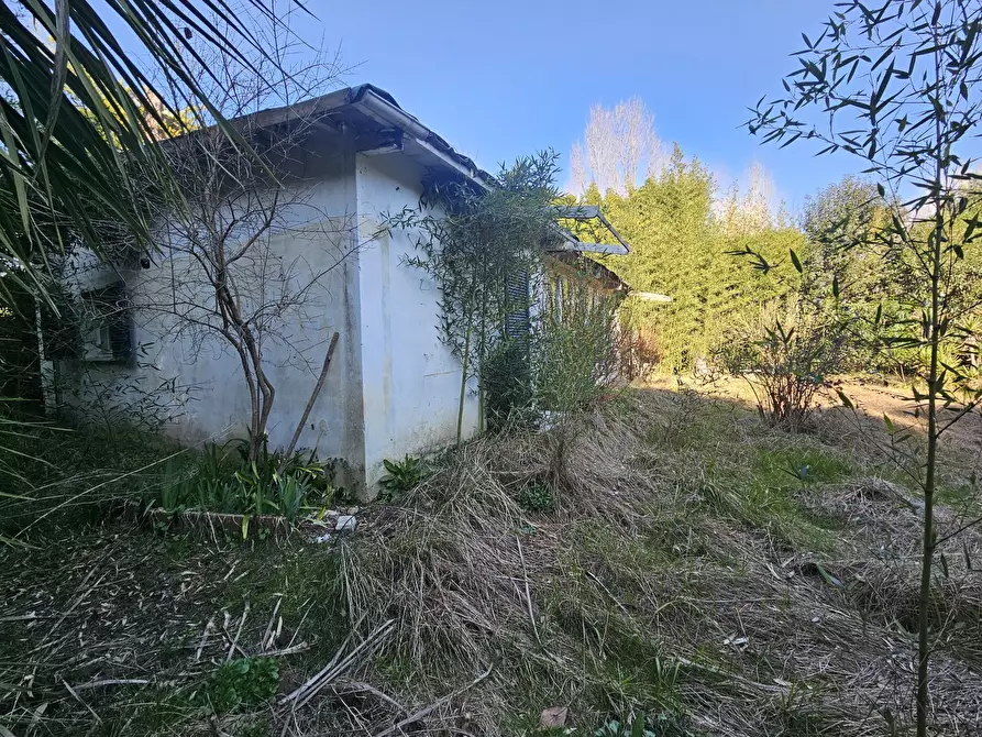 Immagine 4 di Rustico / casale in vendita  a Ameglia