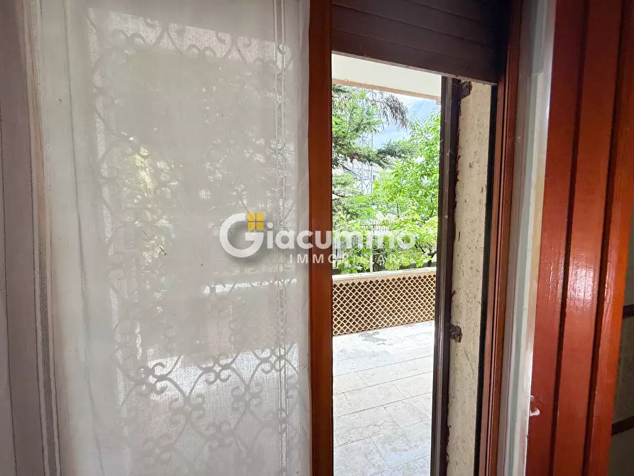 Immagine 11 di Pentalocale in affitto  in Via Domenico di Giura a Potenza