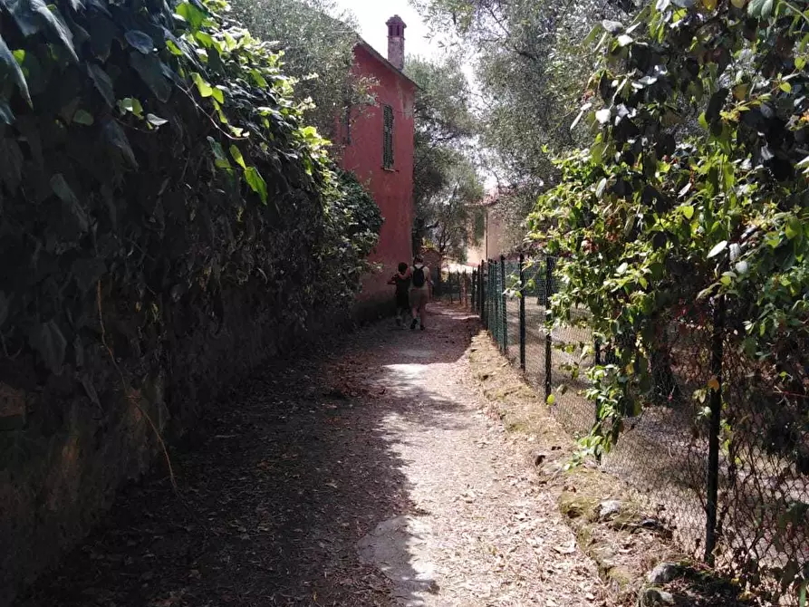 Immagine 11 di Trilocale in affitto  a La Spezia