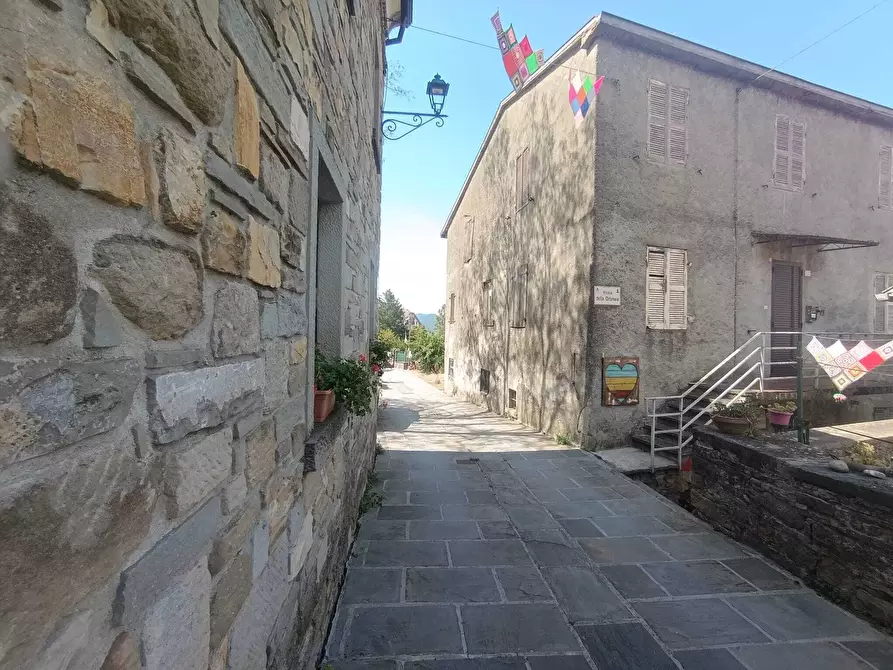 Immagine 37 di Terratetto in vendita  a Terenzo