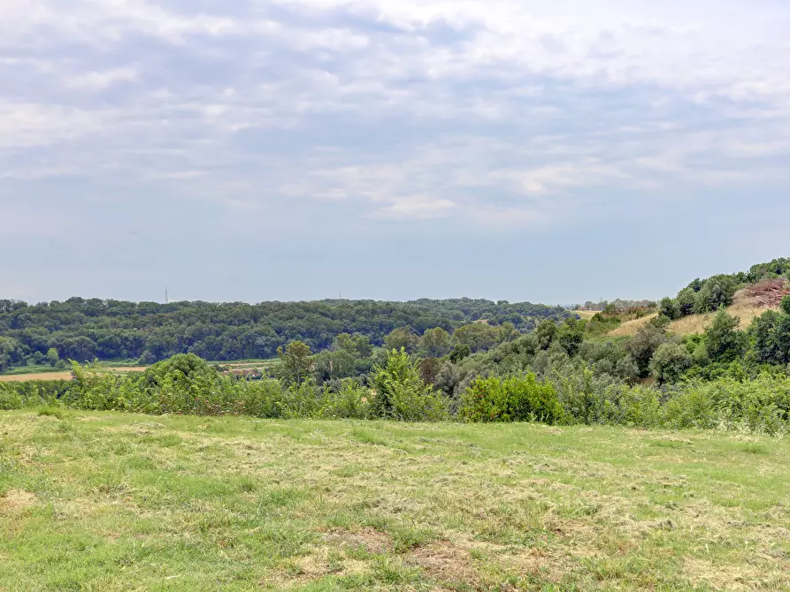Immagine 18 di Villa in vendita  in Via del Fontanile di Mezzaluna 231 a Fiumicino