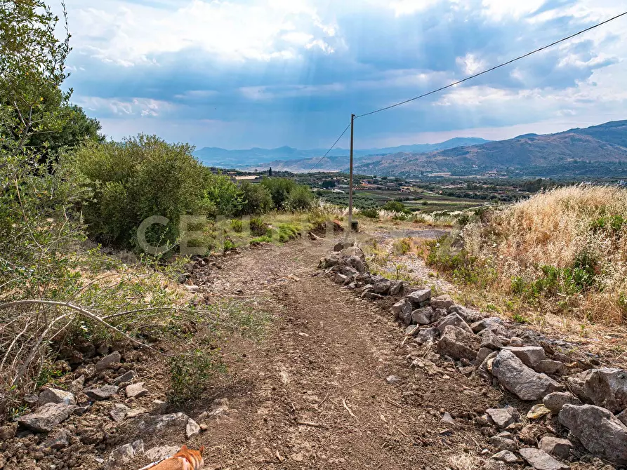 Immagine 54 di Terreno agricolo in vendita  in Via San Leo a Adrano