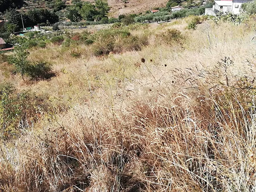 Immagine 9 di Terreno agricolo in vendita  in Contrada Saravulli San Mercurio snc a Piana Degli Albanesi