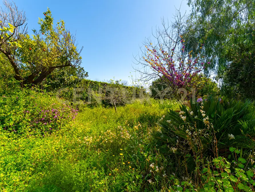 Immagine 87 di Villa in vendita  in Via Alcaloro Petrone 47 a Viagrande