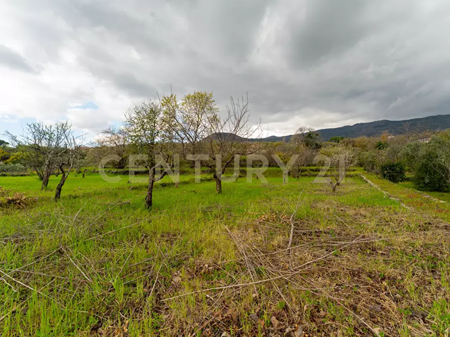 Immagine 45 di Casa indipendente in vendita  in Via Armando Diaz 83 a Zafferana Etnea