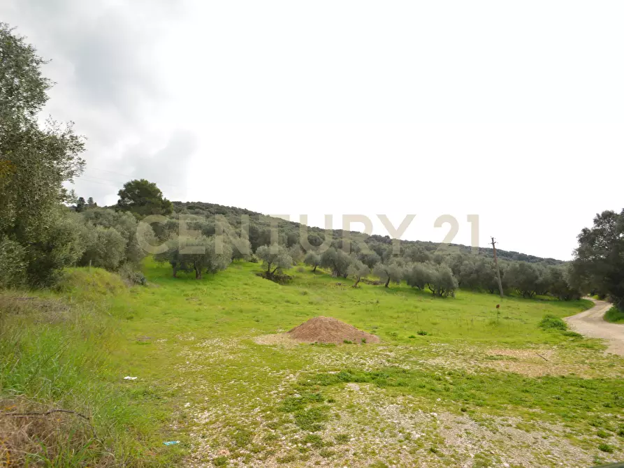 Immagine 6 di Porzione di casa in vendita  in via Aurelia Sud Loc. Braccagni 108 a Grosseto