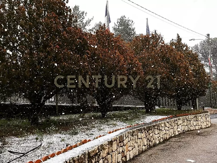 Immagine 49 di Albergo/B&B/Residence in vendita  in Via Etnea 163 a Nicolosi