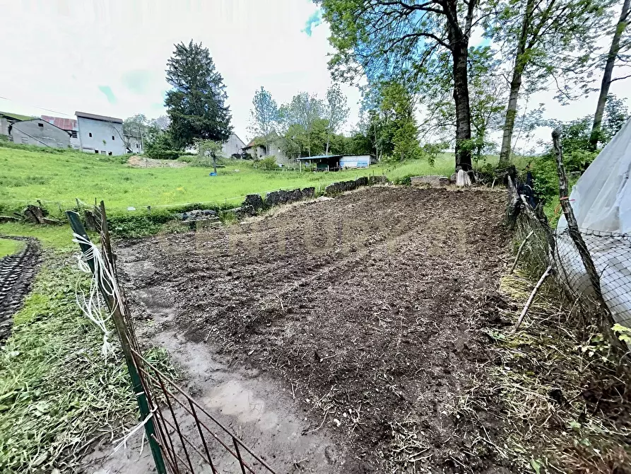 Immagine 3 di Terreno agricolo in vendita  in Contrada Tezze a Velo Veronese
