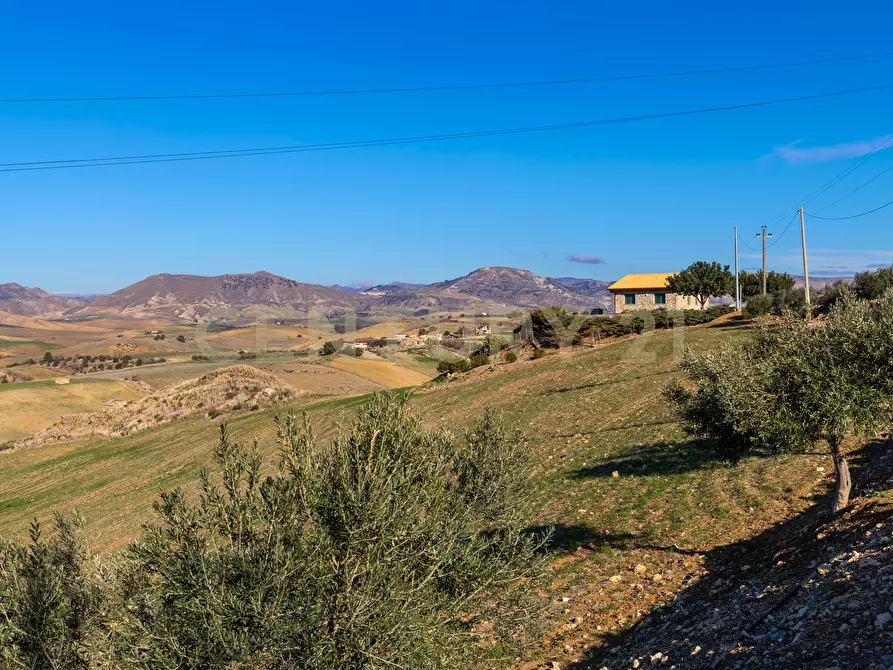 Immagine 10 di Terreno agricolo in vendita  in Strada Provinciale 23b a Centuripe