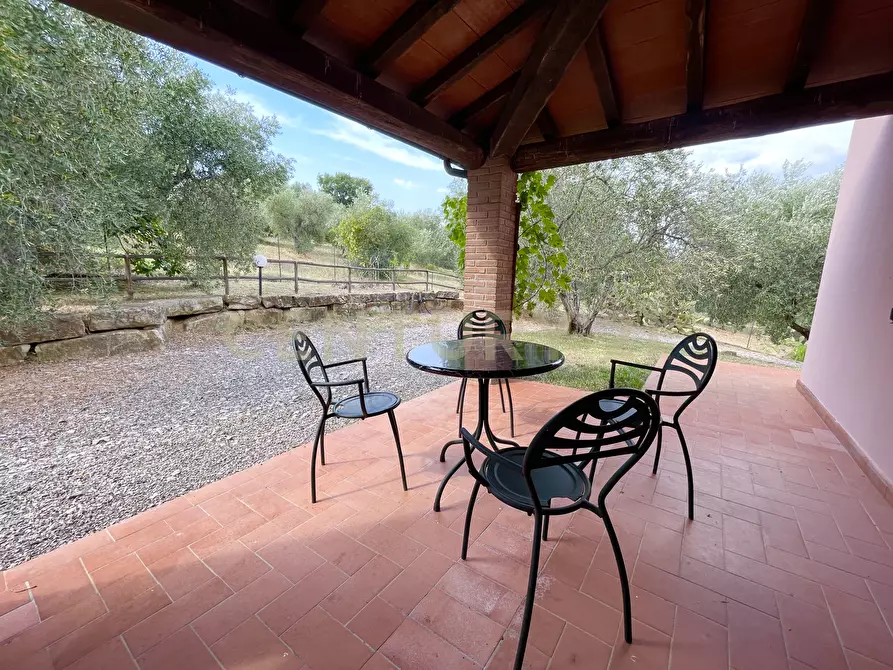 Immagine 4 di Azienda agricola in vendita  in località colle di lupo a Magliano In Toscana