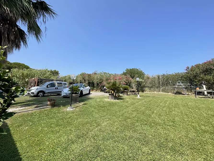 Immagine 19 di Terreno agricolo in vendita  in Strada Provinciale della Giannella a Orbetello