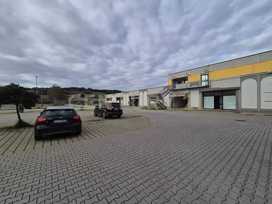 Immagine 9 di Locale commerciale in vendita  in Cerro Sughero a Campagnatico