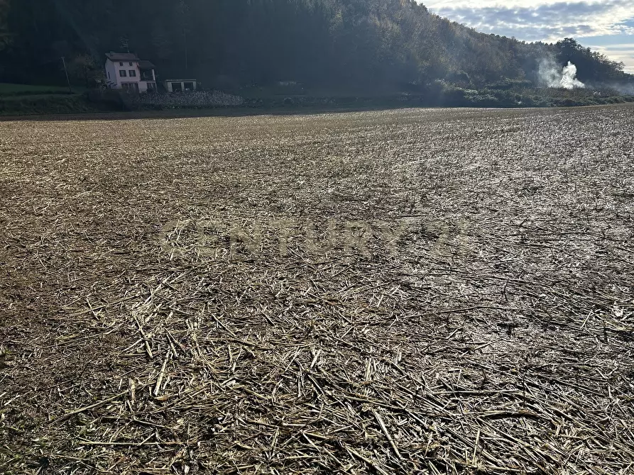 Immagine 14 di Terreno edificabile in vendita  in Via Don Giovanni Calabria a Tregnago