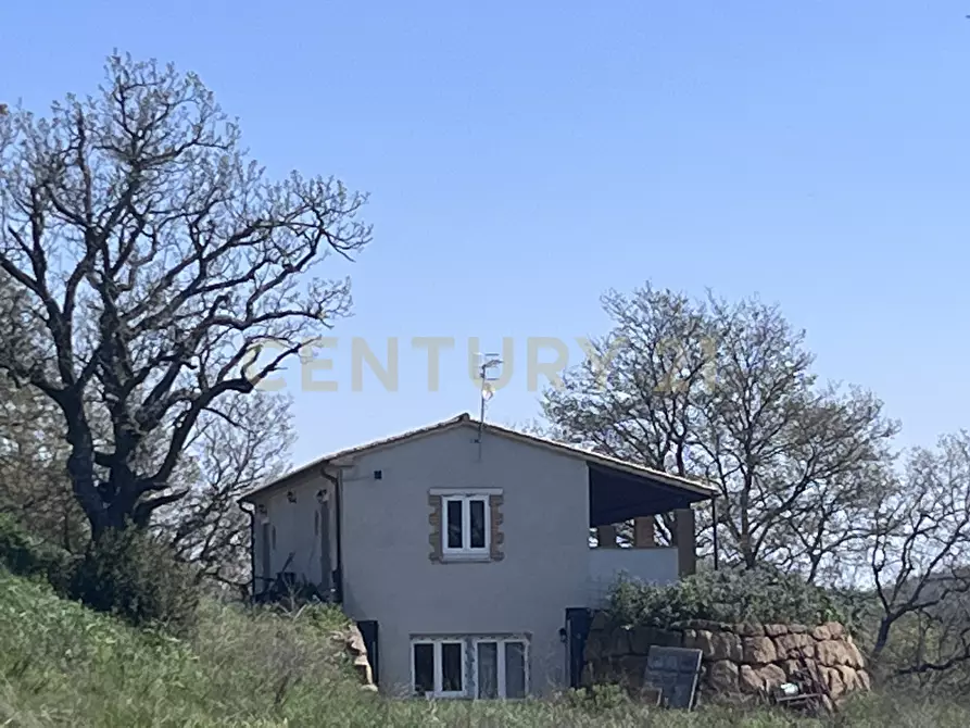Immagine 5 di Rustico / casale in vendita  in poggio murella a Manciano