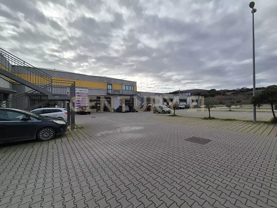 Immagine 8 di Locale commerciale in vendita  in Cerro Sughero a Campagnatico