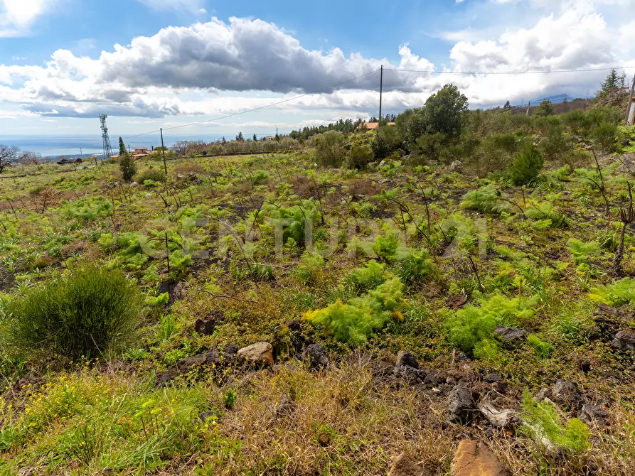 Immagine 37 di Villa in vendita  in Via Nocille 55 a Mascali