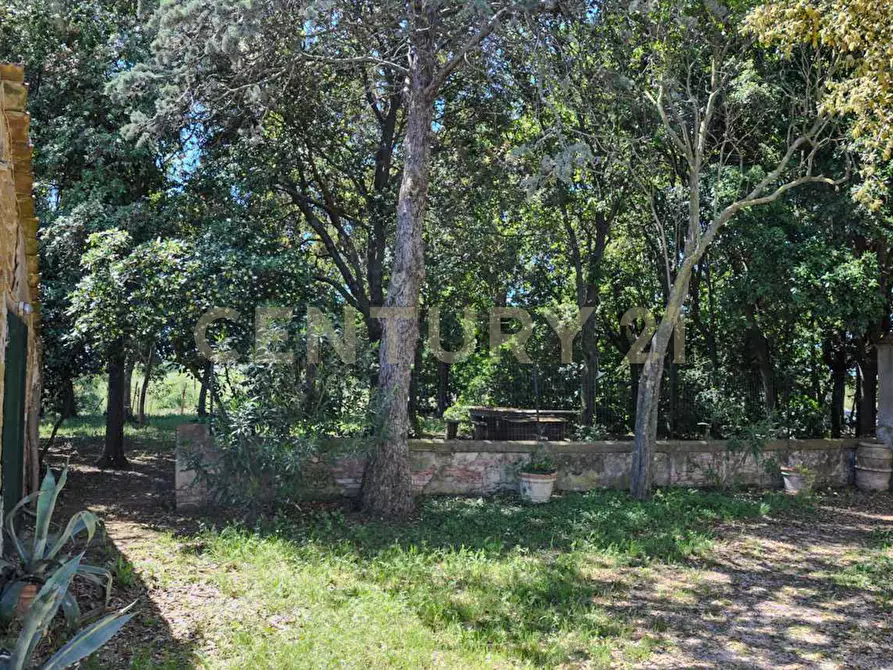 Immagine 15 di Rustico / casale in vendita  in Località Preselle sp 159 a Scansano