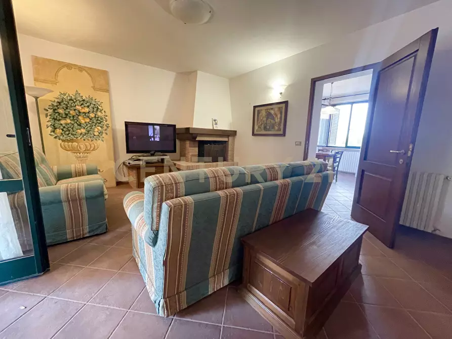 Immagine 16 di Azienda agricola in vendita  in località colle di lupo a Magliano In Toscana