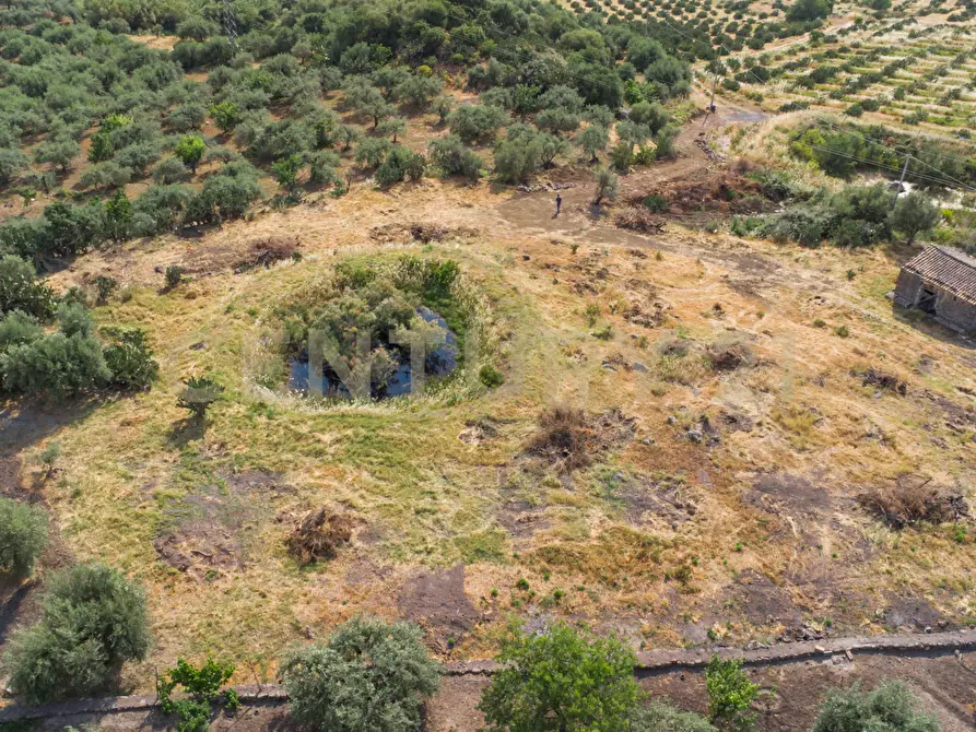 Immagine 1 di Terreno agricolo in vendita  in Via San Leo a Adrano