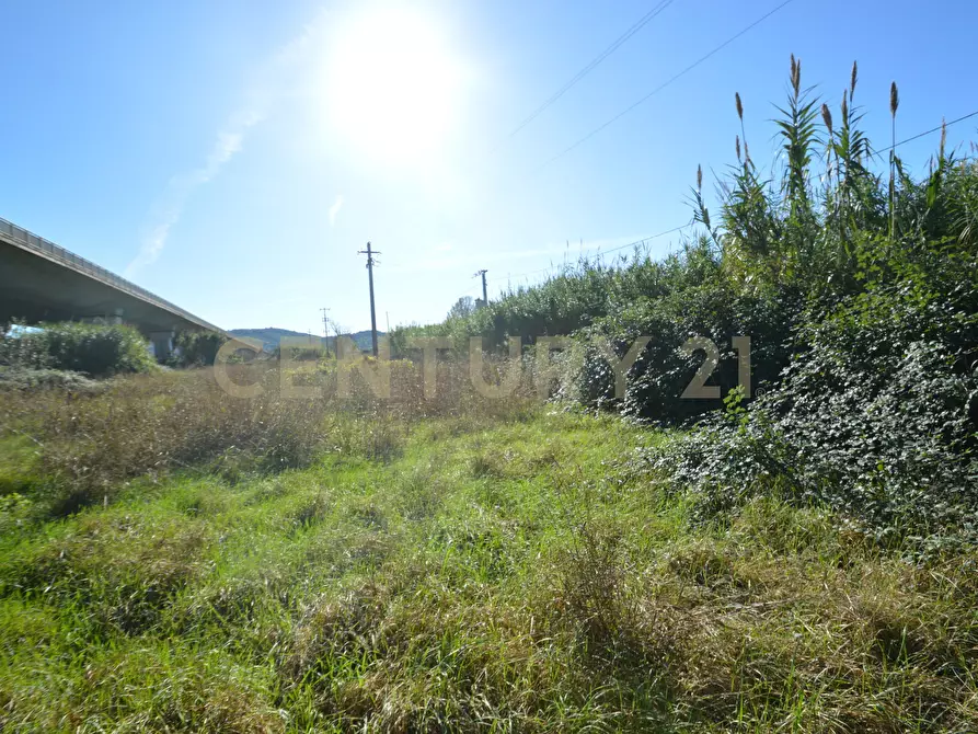 Immagine 8 di Rustico / casale in vendita  in Strada dell'Isolotto a Grosseto