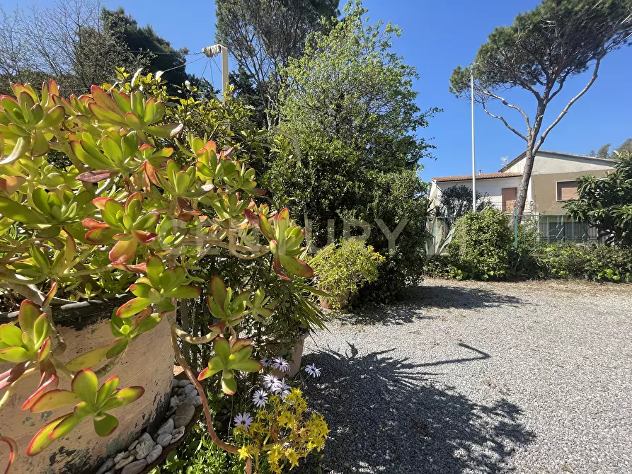 Immagine 16 di Porzione di casa in vendita  in Strada Vicinale dei Bagnacci 1 a Orbetello