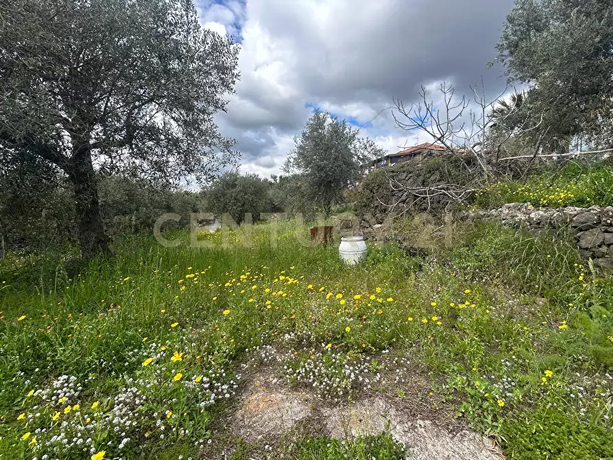 Immagine 13 di Terreno edificabile in vendita  in Viale Giovanni Falcone 9 a Camporotondo Etneo