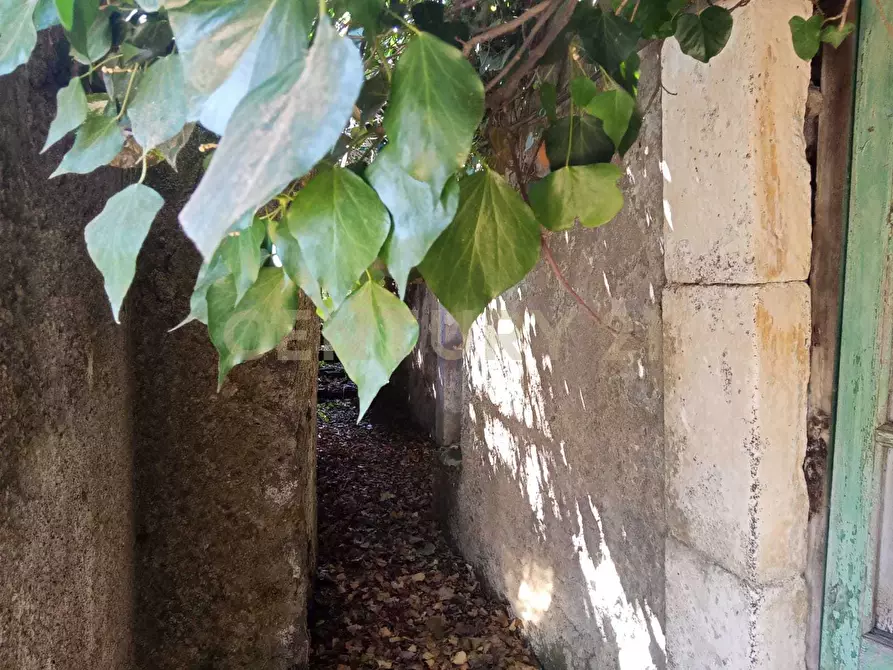 Immagine 6 di Rustico / casale in vendita  in Via Maugeri 12 a Valverde