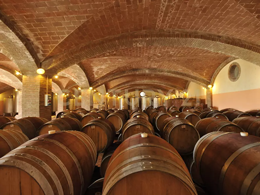 Immagine 56 di Villa in vendita  in Strada di Monte Bottigli a Grosseto