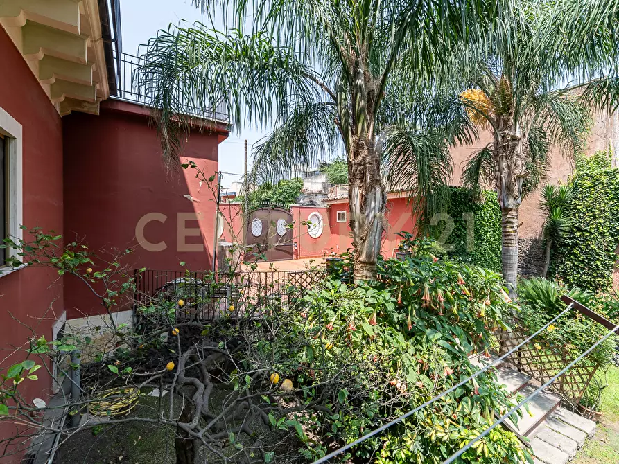 Immagine 18 di Villa in vendita  in Via Scalilla 42 a Catania