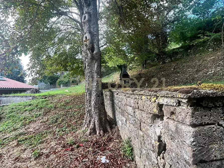 Immagine 19 di Terratetto in vendita  in Via Firenze a Semproniano