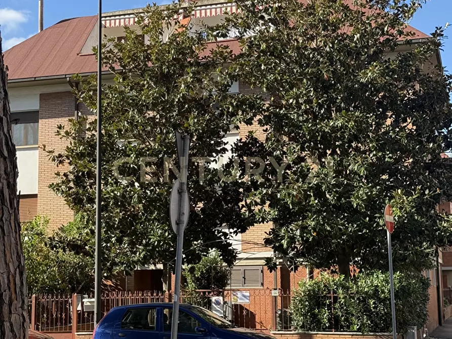 Immagine 25 di Ufficio in vendita  in VIA ADAMELLO 70B a Grosseto